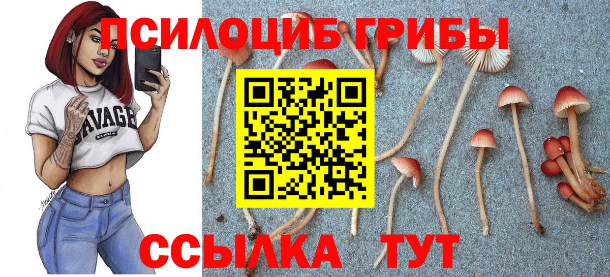 Галлюциногенные грибы мицелий  Вход с VPN  Псилоцибиновые грибы MAGIC MUSHROOMS  Канаш 
